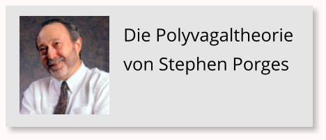 Die Polyvagaltheorie von Stephen Porges