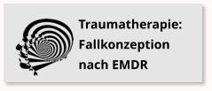 Traumatherapie: Fallkonzeption nach EMDR