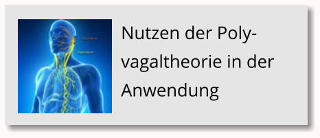 Das Geschenk der Aufmerksamkeit Nutzen der Poly-vagaltheorie in der Anwendung